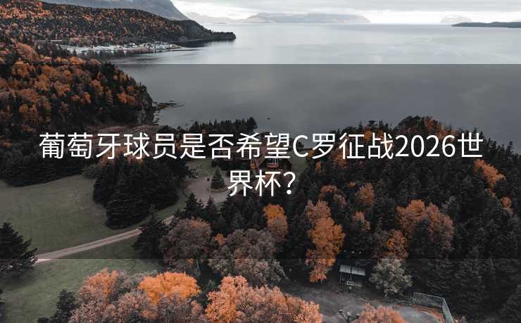 高级教练 - 林嘉敏